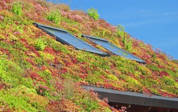 Berrynarbor living roof systems